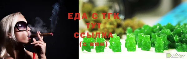 Альфа ПВП Инта
