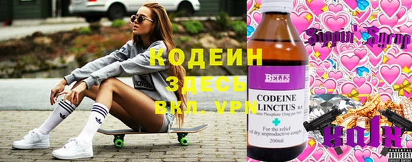 Альфа ПВП Инта