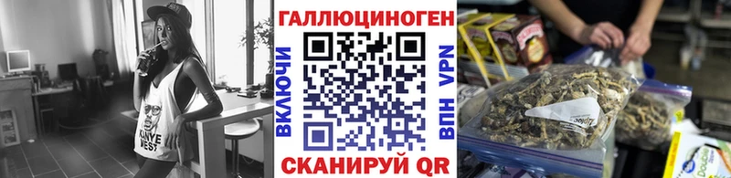 наркошоп  Зубцов  Псилоцибиновые грибы ЛСД 
